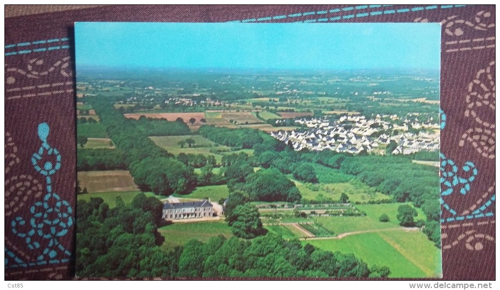 CPM - La France Vu Du Ciel ORVAULT - Le Chateau Du Plaessis Et Le Lotissement Du Bois Raguenet - Orvault