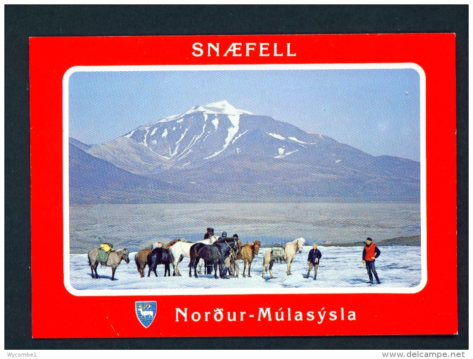 ICELAND  -  Snaefell  Unused Postcard As Scan - Iceland