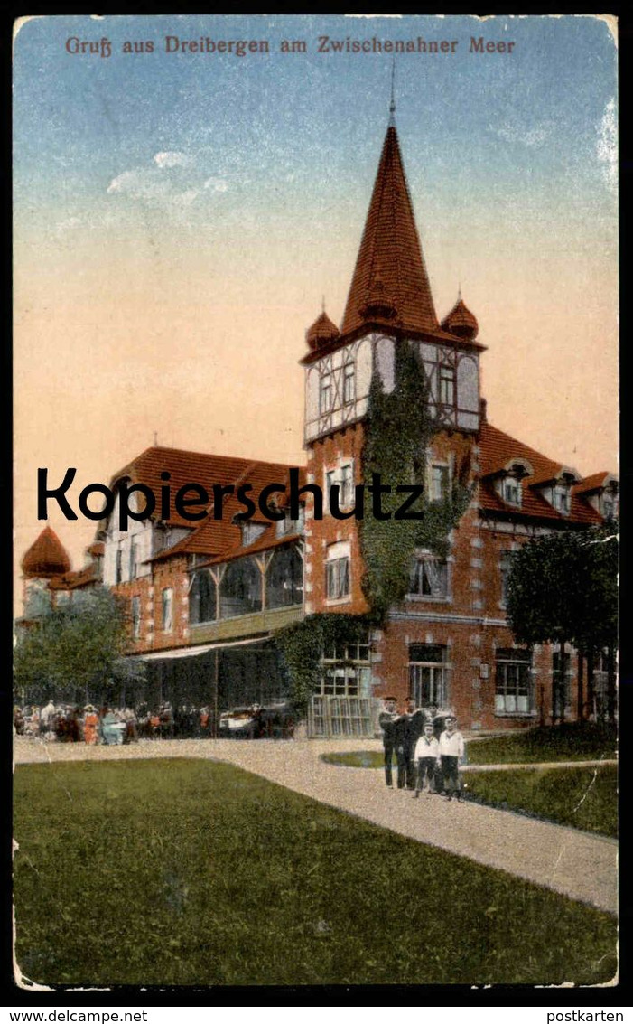 ALTE POSTKARTE GRUSS AUS DREIBERGEN 1919 AM ZWISCHENAHNER MEER Bad Zwischenahn Niedersachsen Enfants Pupil Children - Bad Zwischenahn