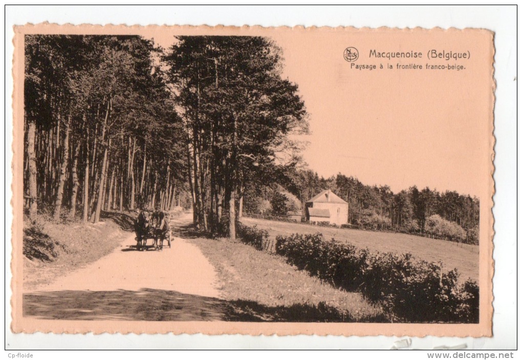 BELGIQUE . BELGIË . MACQUENOISE . PAYSAGE À FRONTIÈRE FRANCO-BELGE - Réf. N°11844 - - Momignies