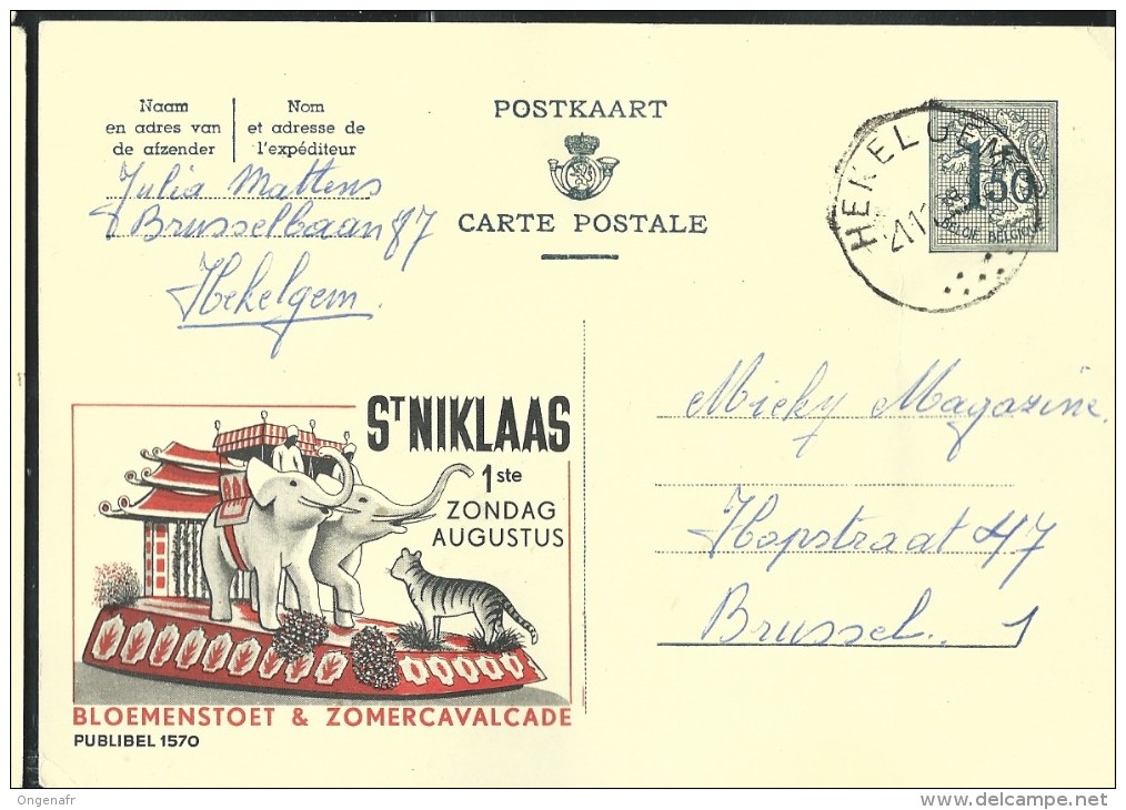 Publibel Obl. N° 1570 ( Zomercavalcade: St-Niklaas 01/08: Tigre-éléphants ) Obl: Hekelgem 21/11/1959 - Werbepostkarten