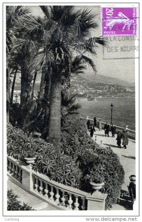 Monte-Carlo. Les Terrasses Du Casino - Terrassen