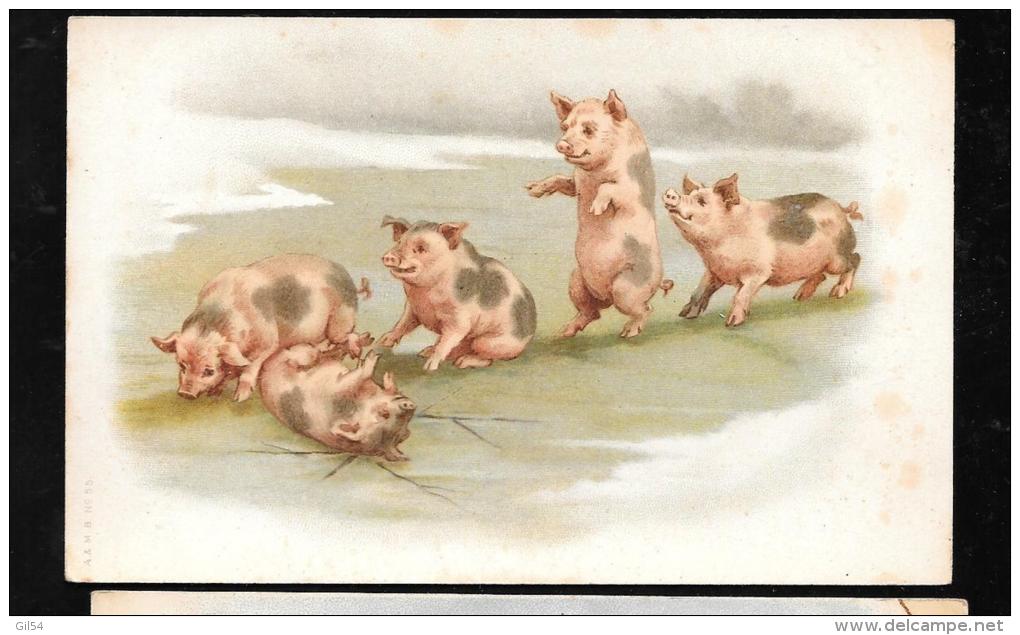 Cochons , Porcs , Humanisés Jouant Comme Des Enfants  , Roulades   - Lr215151 - 1900-1949