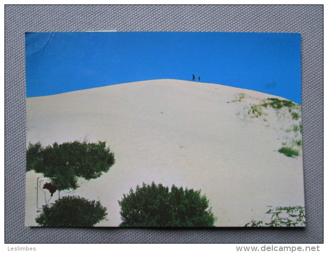 Florianopolis, Santa Catarina. Dunas. Praia De Joaquina. - Florianópolis