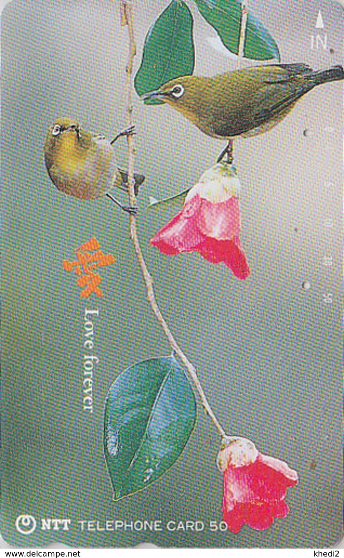 Télécarte Japon / NTT 391-144 - Animal - OISEAU - Fauvette - Zosterops BIRD Japan Phonecard - Vogel Telefonkarte - 4050 - Passereaux