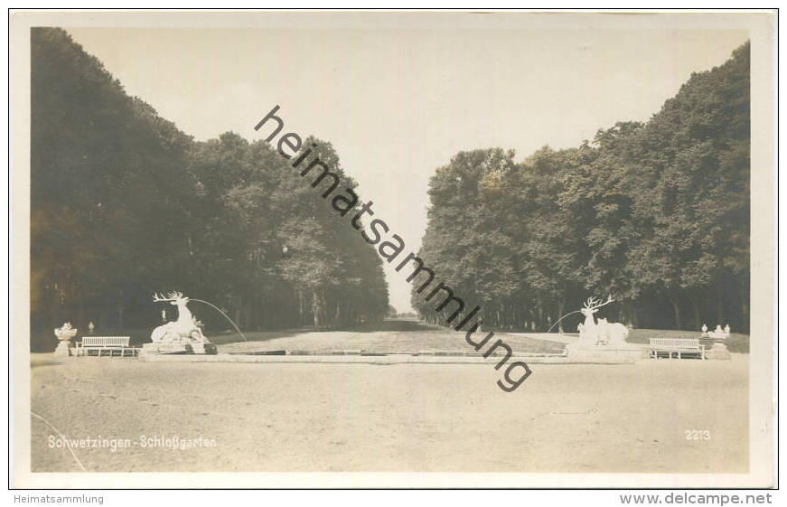 Schwetzingen - Schlossgarten - Foto-AK - Verlag Dr. Sommer & Co. Zuffenhausen-Stuttgart - Schwetzingen