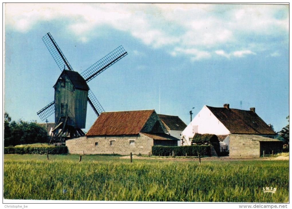 Sint Martens Latem, Molen Met Molenerf (pk24874) - Sint-Martens-Latem