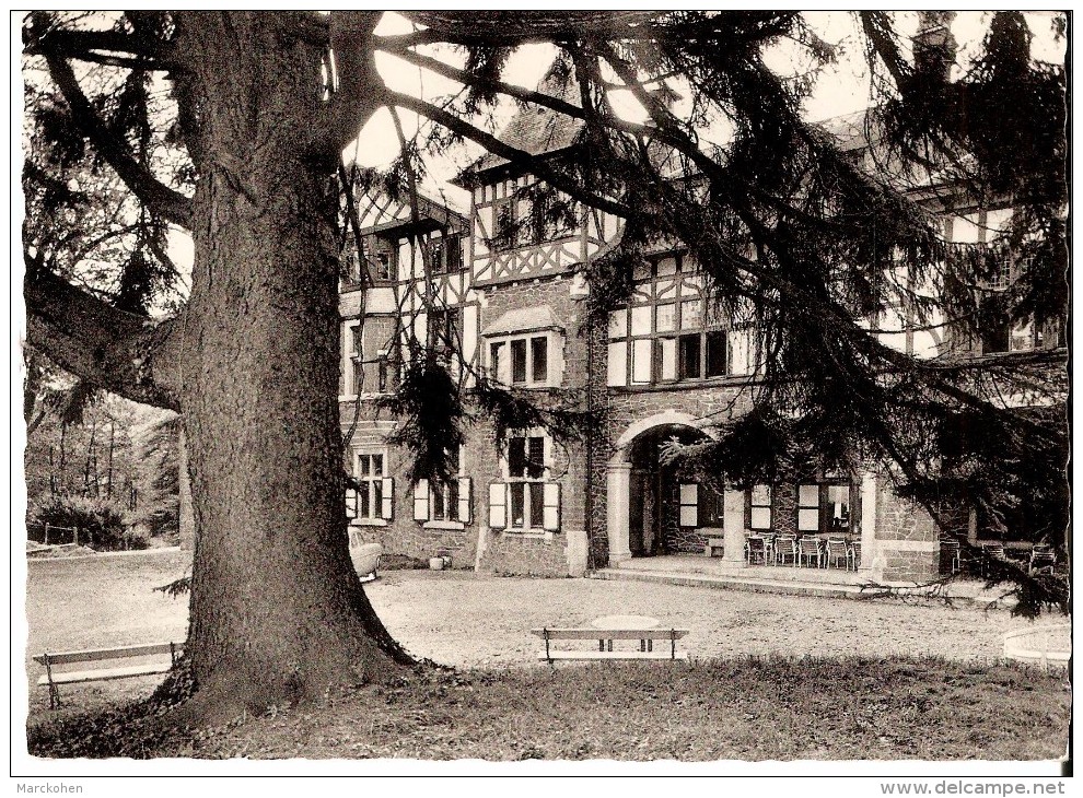 HAMOIR - FILOT (4181) : LE CHATEAU D' INSEGOTTE - Home De Repos. Un Aspect De L'entrée. CPSM Dentelée. - Hamoir