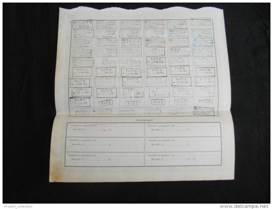 Action Nomative 500 Frs Societe Du Domaine Grandval  Share Coupons Marseille 02/08/1895 - D - F