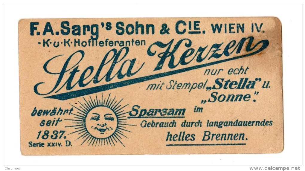 Petite Chromo Pour Stella Kerzen, Sarg, Vienne, Wien, Autriche, Österrreich, Interessante Pflanzen - Otros & Sin Clasificación