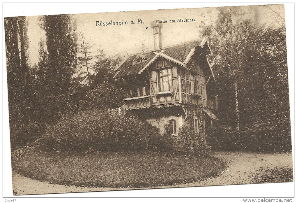 RUESSELSHEIM    A M  PARTIE  AM  STADTPARK - Rüsselsheim