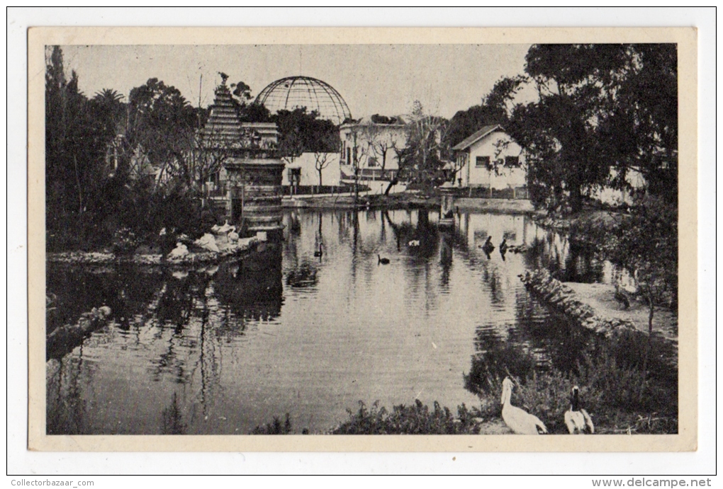 URUGUAY MONTEVIDEO ZOO Villa Dolores Photo Vintage Original Ca1900 Postcard Cpa Ak (W4_1564) - Uruguay