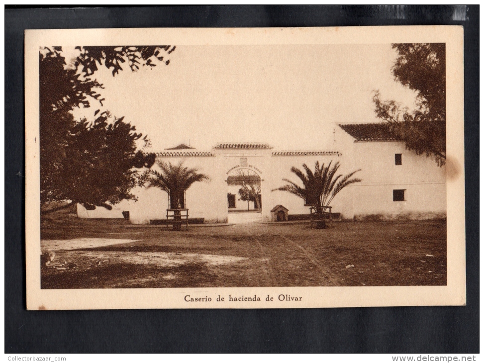 TARJETA POSTAL Espa&ntilde;a Caserio De Hacienda De Olivar Olive Oil Advertising Original Ca1900 Postcard Cpa Ak (W4_160 - Culturas