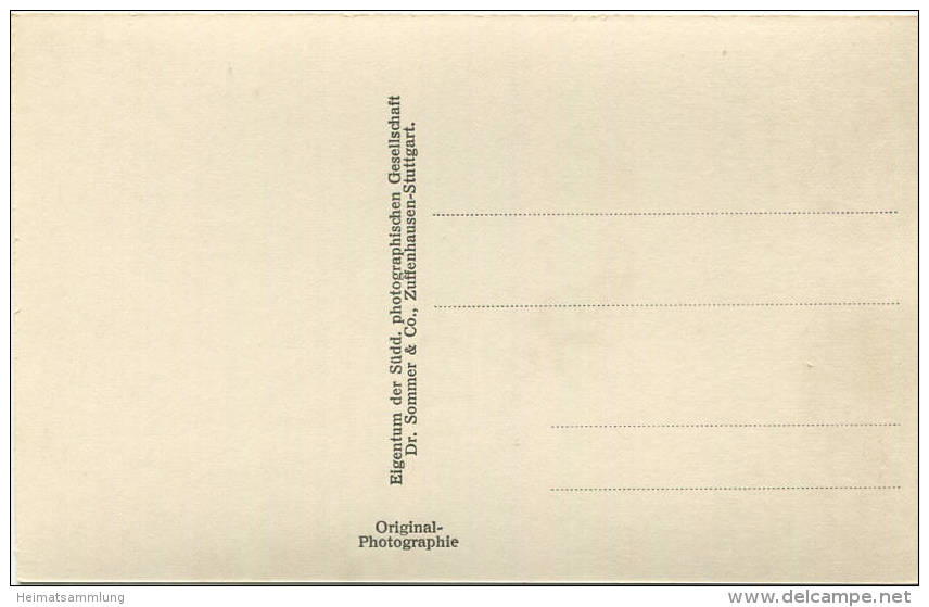 Schwetzingen - Schlossgarten - Der Rhein Peter Anton Von Verschaffelt - Foto-AK - Verlag Dr. Sommer & Co. Zuffenhausen-S - Schwetzingen