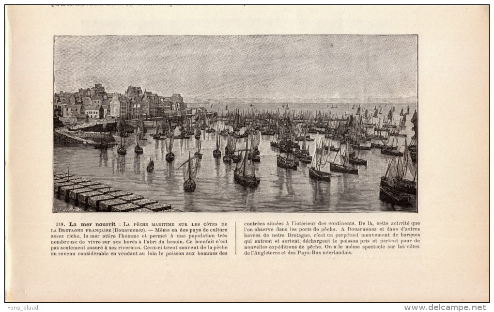 1896 - Gravure Sur Bois De Lemoine - Douarnenez (Finistère) - La Pêche Sur Les Côtes Bretonnes - FRANCO DE PORT - Stampe & Incisioni