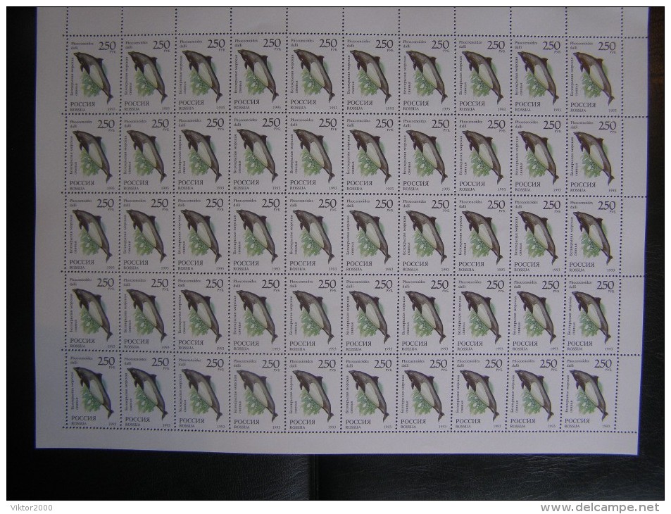 RUSSIA 1993 MNH (**)YVERT 6045dall's Porpoise/phocoenoides Dalli.en Feuille Entière/50 Timbres - Full Sheets