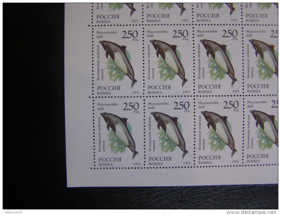 RUSSIA 1993 MNH (**)YVERT 6045dall's Porpoise/phocoenoides Dalli.en Feuille Entière/50 Timbres - Full Sheets