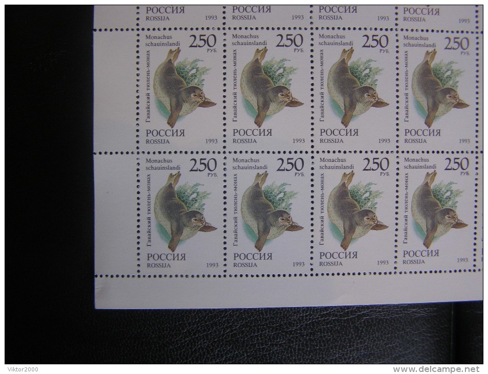 RUSSIA 1993 MNH (**)YVERT 6042/seal/le Phoque.en Feuille Entière/50 Timbres - Feuilles Complètes