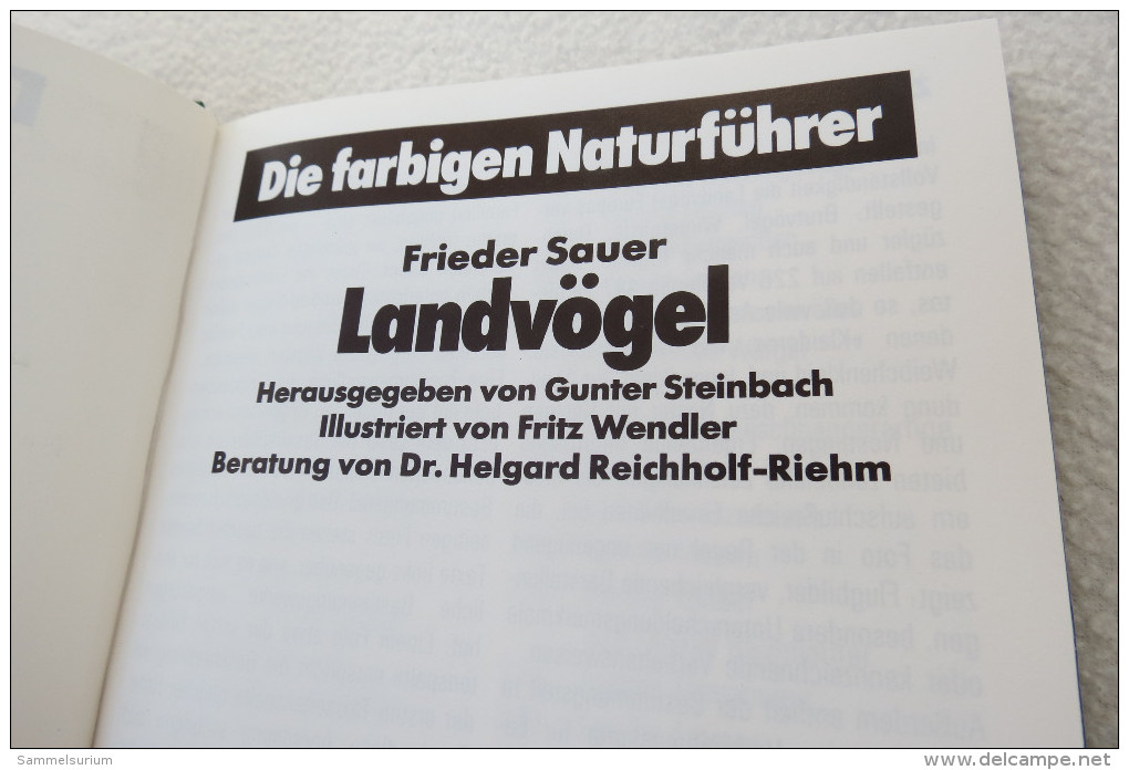 Frieder Sauer "Landvögel" Aus Der Reihe "Die Farbigen Naturführer" - Animales