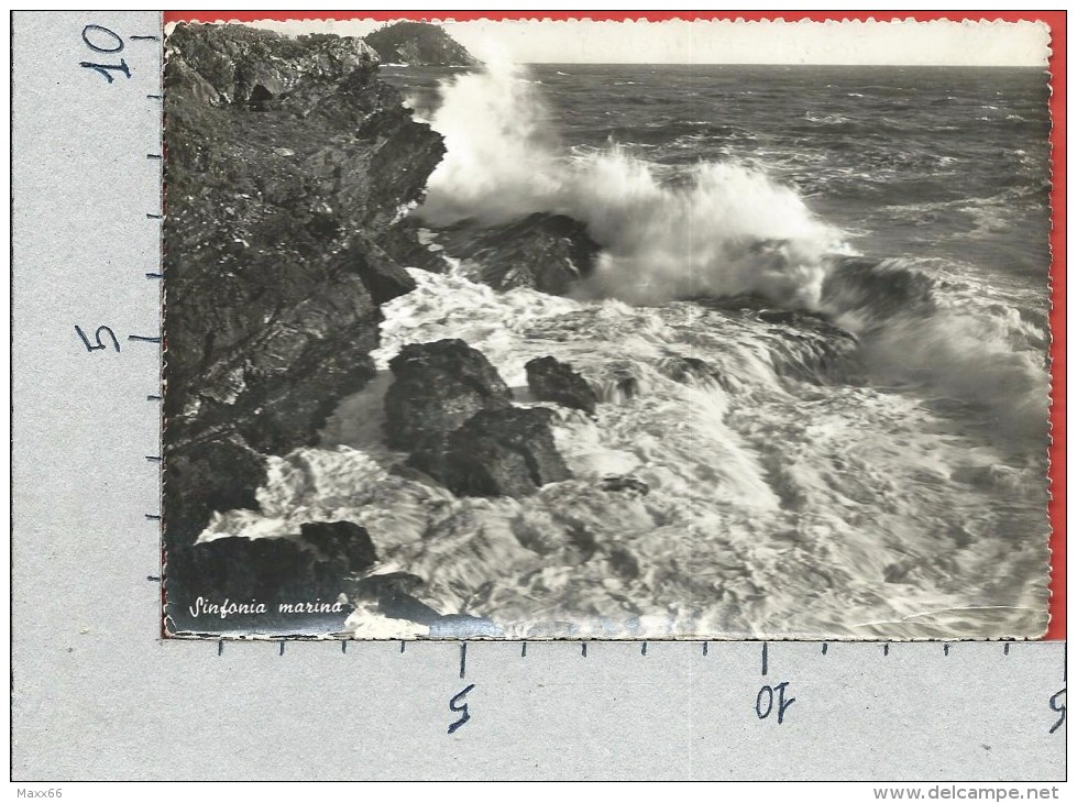 CARTOLINA VG ITALIA - CAVI DI LAVAGNA (GE) - Sinfonia Marina - 10 X 15 - ANNULLO 1953 - Altri & Non Classificati