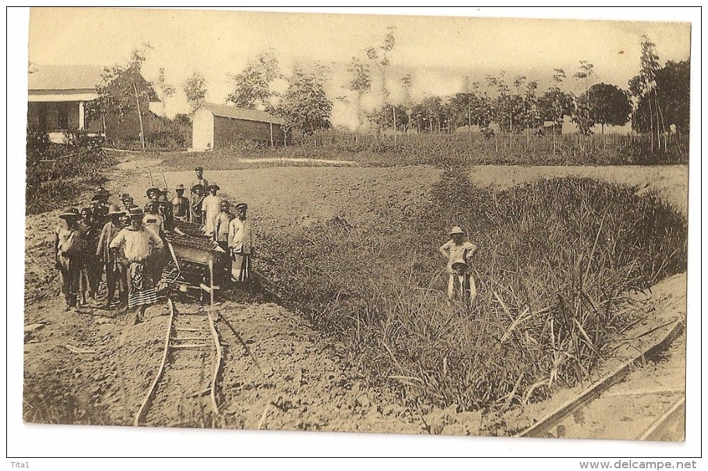 S3554 - Mission Française Des PP. Du St Esprit - Un Décauville - Guinea