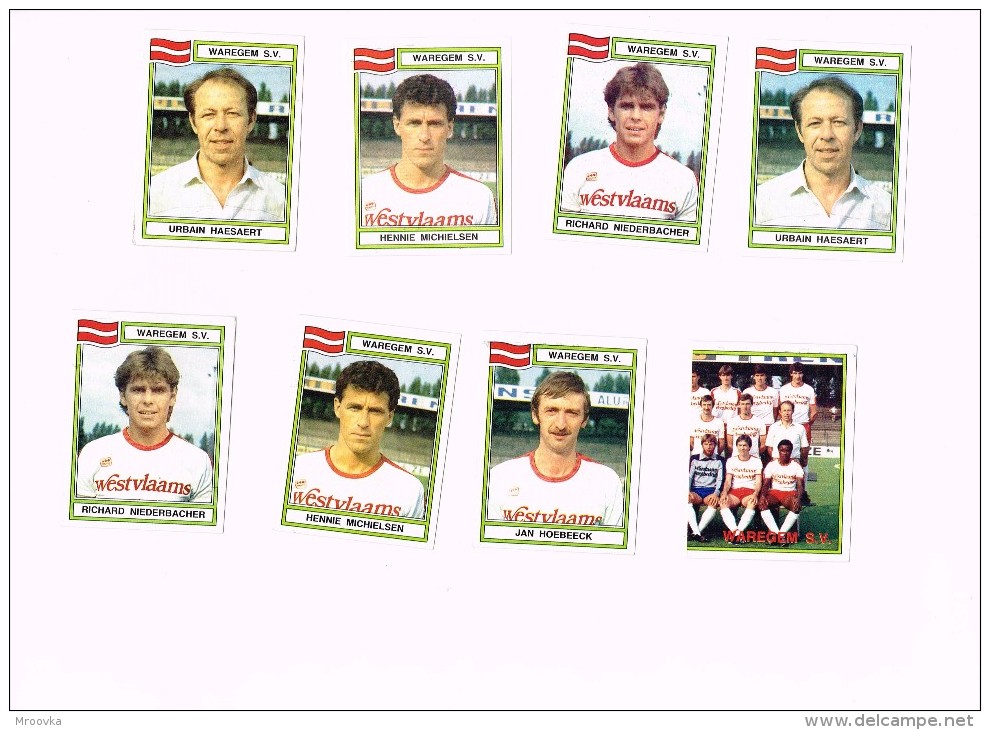 Figurine Panini 1984 /SV Zulte Waregem/Football/Fußball X 8 !!! - Autres & Non Classés