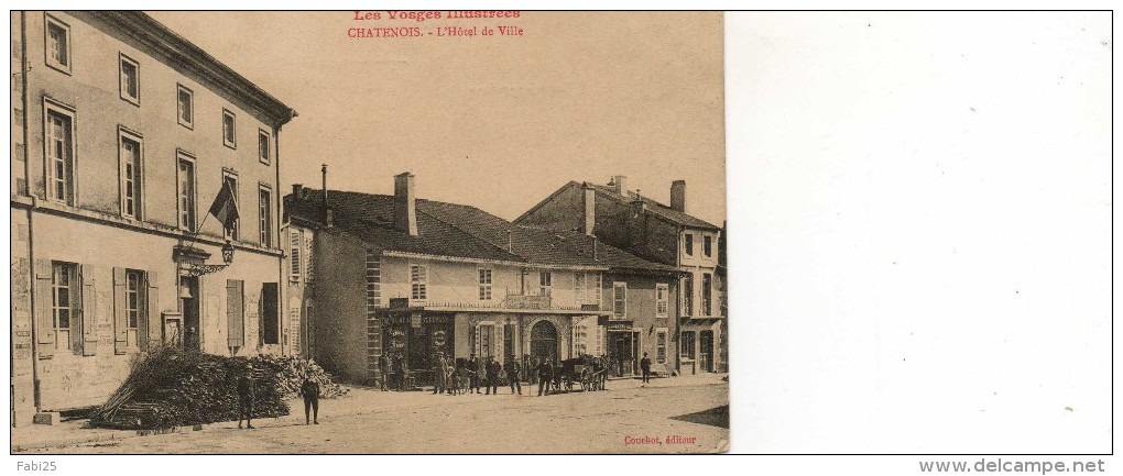 CHATENOIS L HOTEL DE VILLE - Chatenois