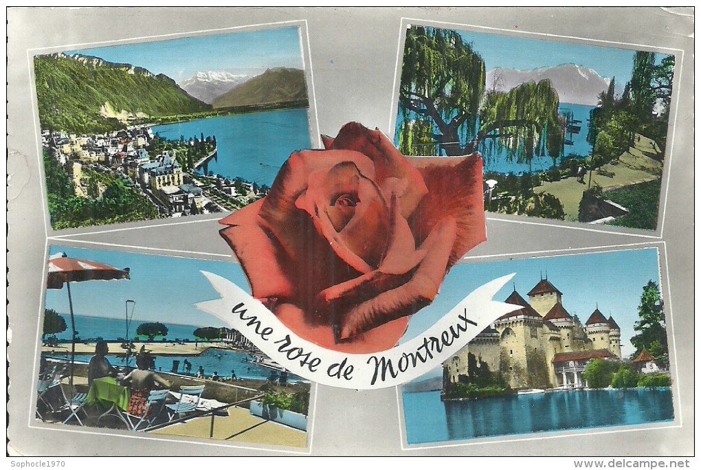 SUISSE - SCHWEIZ - SVIZZERA - SWITZERLAND - VAUD - MONTREUX  - Une Rose - CPSM GF Couleur Multivues - Montreux