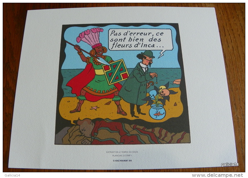 LOT DE 3 EX-LIBRIS TINTIN ~ HERGE MOULINSART 2010 / LE TEMPLE DU SOLEIL - Illustrateurs G - I