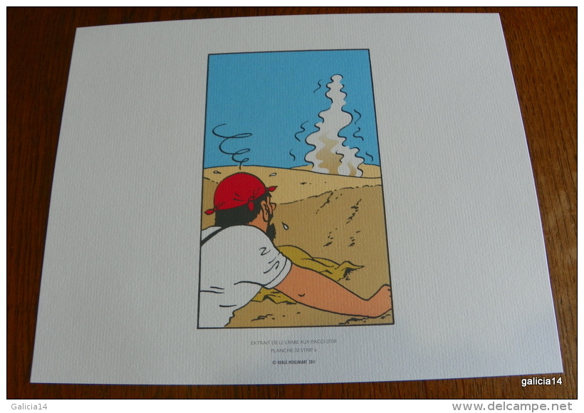 LOT DE 3 EX-LIBRIS TINTIN ~ HERGE MOULINSART 2011 / LE CRABE AUX PINCES D´ OR - Illustrateurs G - I