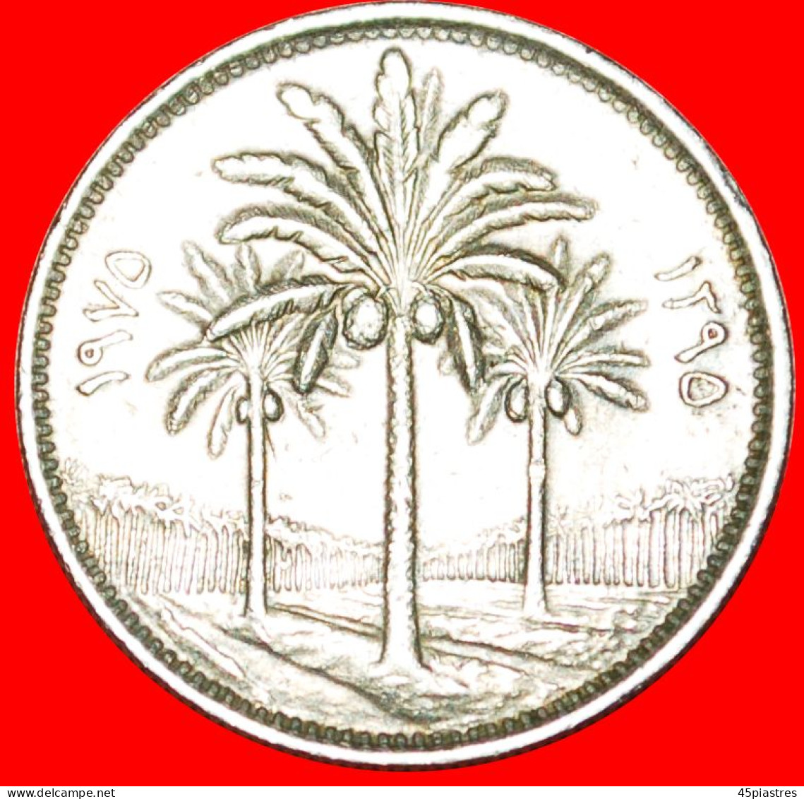 &#9733;PALM TREES: IRAQ &#9733; 25  FILS 1395-1975! LOW START&#9733; NO RESERVE! - Iraq