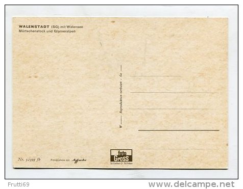 SWITZERLAND - AK 246082 Walenstadt Am Walensee - Mürtscjenstock Und Glarneralpen - Walenstadt