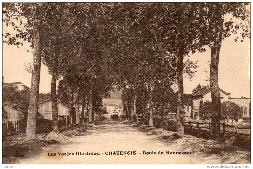 Chatenois Route De Mannecourt - Chatenois