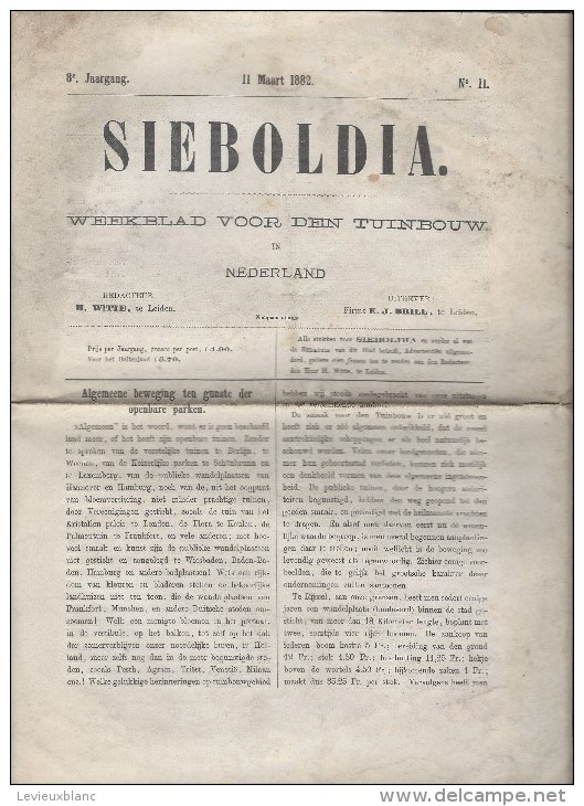 SIEBOLDIA/Weekblad Voor Dein Tuinbouw In NEDERLAND/N°11/1882   MDP46 - Other & Unclassified