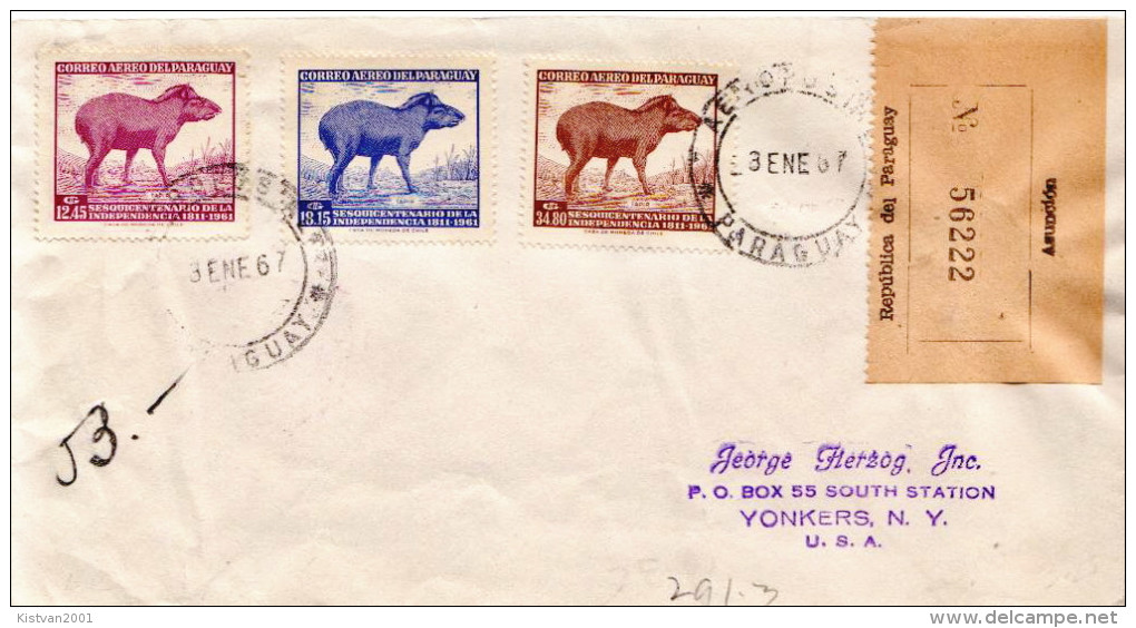 Postal History Cover: Paraguay Tapir Stamps On R Cover - Other & Unclassified