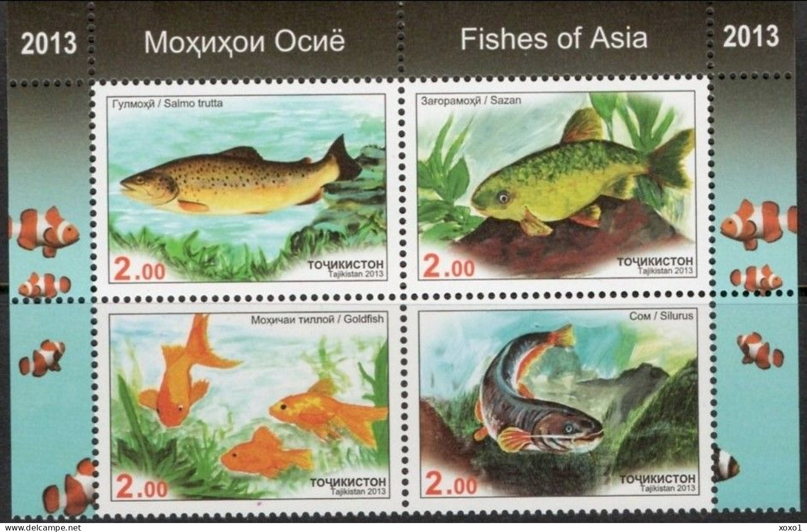 Tajikistan 2013 MiNr. 647a - 650a  Tadschikistan Fishes 4v   MNH**  9,50 € - Tadschikistan