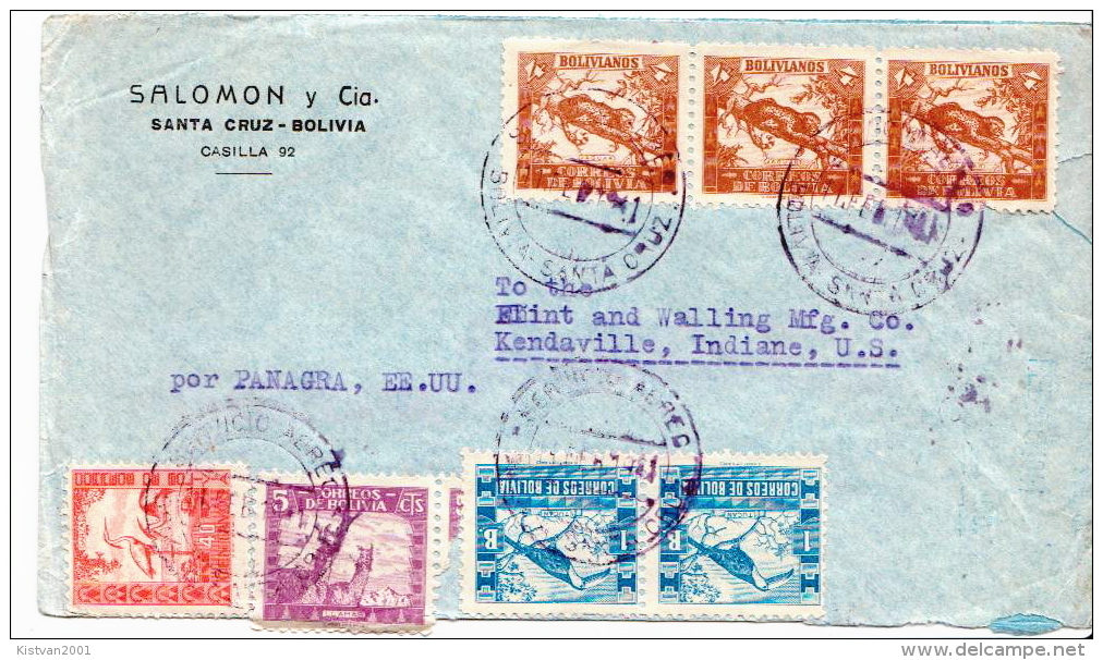 Postal History Cover: Bolivia Panther, Toucan, Lamas, Egrets Stamps On Cover - Other & Unclassified