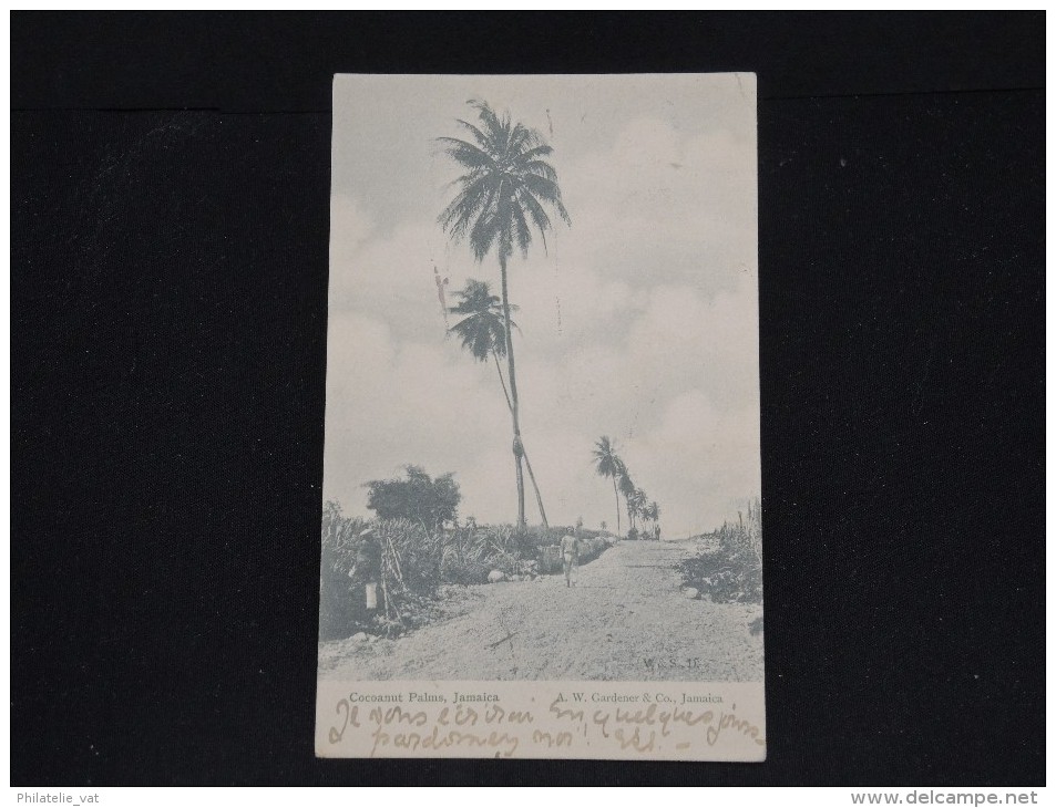 JAMAIQUE - Cocoanut Palms - Cp Voyagée Pour La France En 1905 - A Voir - Lot P11608 - Jamaïque