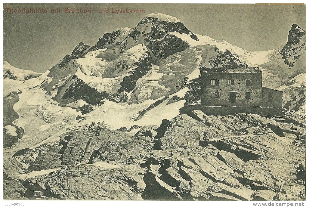 THEODULHUTTE MIT BREITHORN UND LYSSKAMM - CARTE POSTALE SUISSE - Lyss