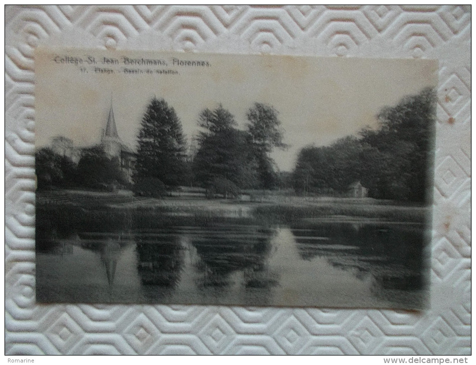 College St Jean Berchmans Florennes 17. Etangs - Bassin De Natation - Florennes