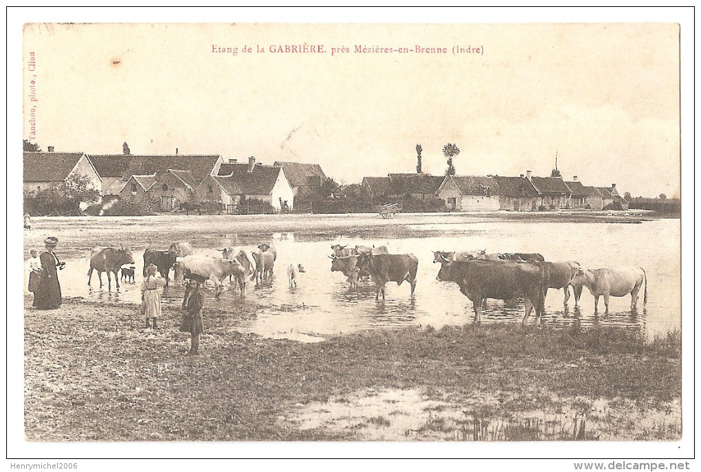 Indre - 36 - étang De La Gabrière Vaches Animée , Près Mézières En Brenne , 1909 - Autres & Non Classés