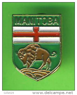 PIN'S - MANITOBA, CANADA - BLASON - BISON - - Other & Unclassified