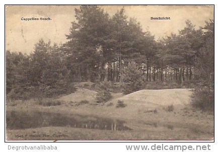 Cappellen-Bosch   Boschzicht - Kapelle-op-den-Bos