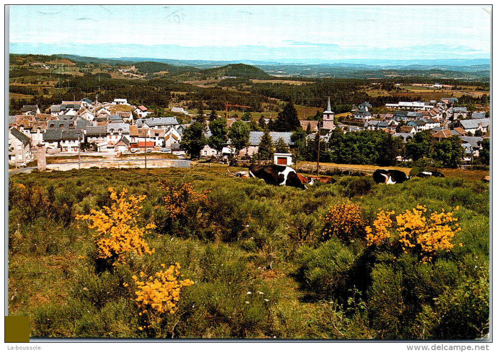 48 AUMONT D'AUBRAC - Vue Générale Prise Du Sacré CÂœur --- - Aumont Aubrac