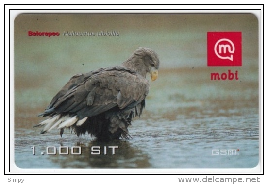 SLOVENIA Prepaid Phonecard Bird, Eagle  Belorepec Haliaeetus Albicilla 31.12.2001 - Águilas & Aves De Presa