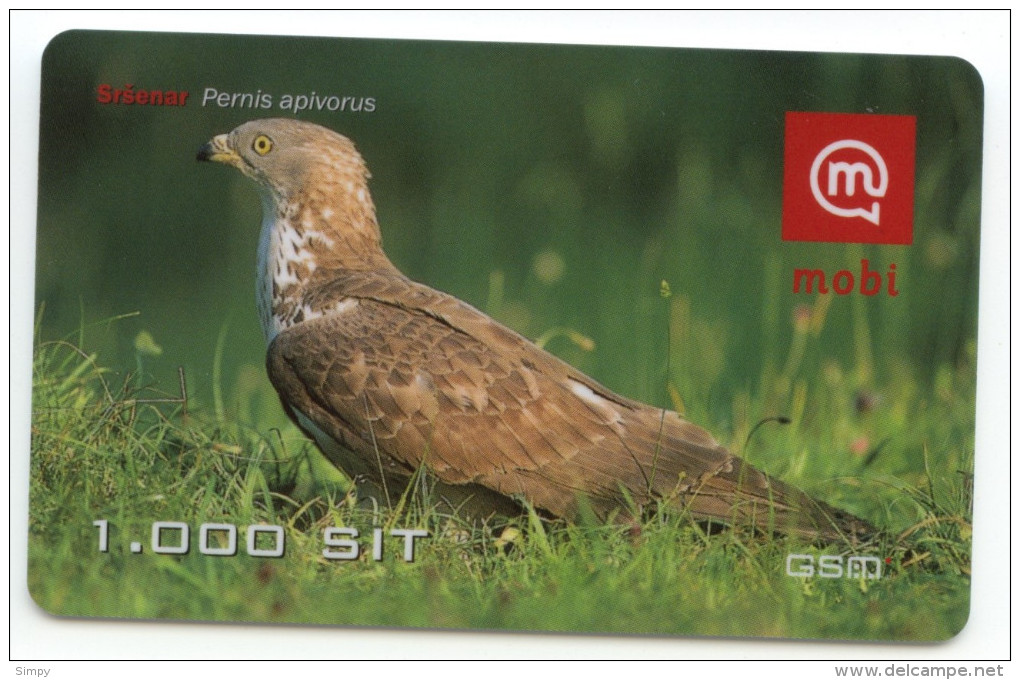 SLOVENIA Prepaid PAPER Phonecard Bird Honey Buzzard Srsenar Pernis Apivorus 31.12.2007 - Águilas & Aves De Presa