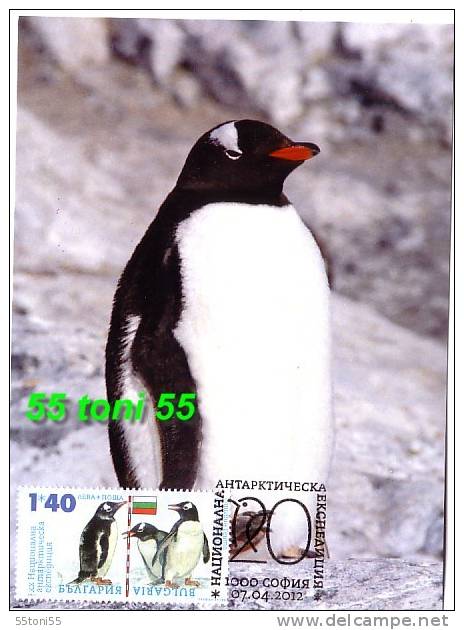 2012 XX Antartic Expedition - Penguin Ghento  MC- (maximum Card)  BULGARIA / Bulgarie - Penguins