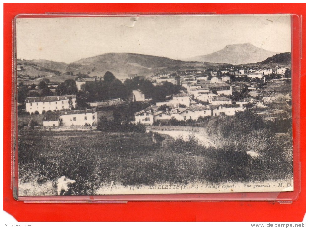 - ESPELETTE -  Village Coquet - Vue Générale - Espelette