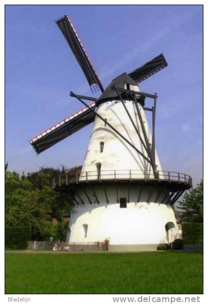 BOECHOUT (Antwerpen) - Molen/moulin - De Stenen Molen Opgezeild En In Werking Na De Restauratie (2006). - Boechout