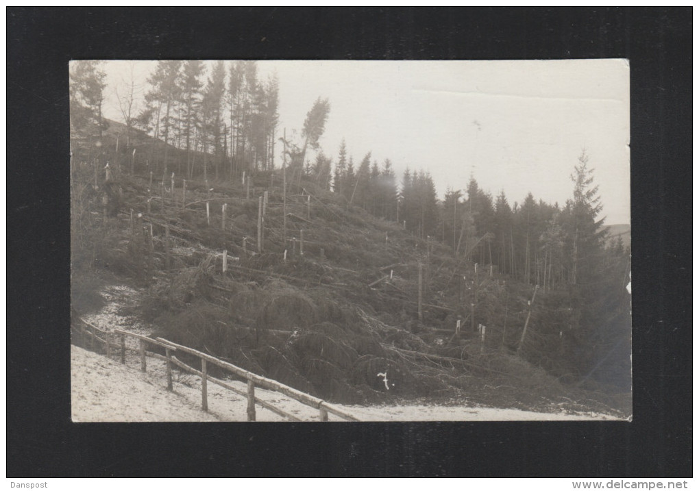 Schweiz AK Bannwald Schlauch Bei Herisau Föhnsturm Am 5. Januar 1919 - Herisau